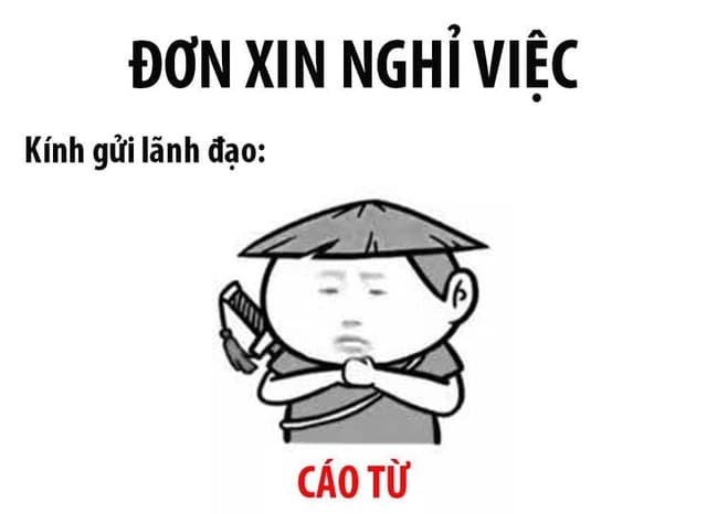 Cáo từ